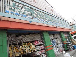 立足長三角，服務(wù)千萬家——上海市閔行區(qū)七寶義鵬建材經(jīng)營部解讀